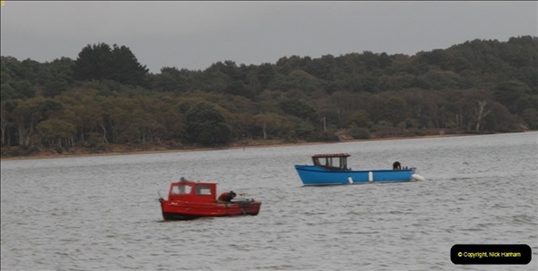 2012-10-18 Visit to Brownsea Island, Poole Harbour, Dorset.  (118)118