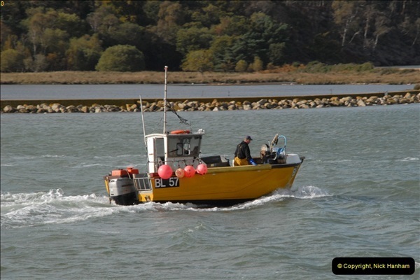 2012-10-18 Visit to Brownsea Island, Poole Harbour, Dorset.  (42)042
