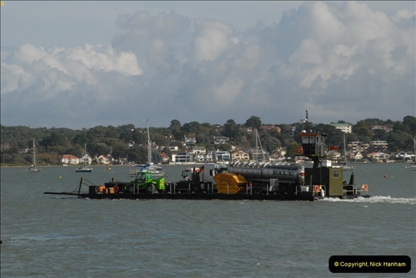 2012-10-18 Visit to Brownsea Island, Poole Harbour, Dorset.  (44)044