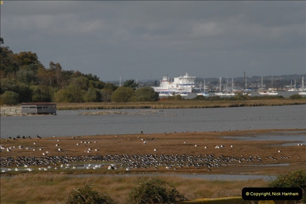 2012-10-18 Visit to Brownsea Island, Poole Harbour, Dorset.  (48)048