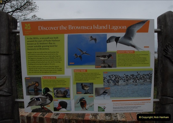 2012-10-18 Visit to Brownsea Island, Poole Harbour, Dorset.  (69)069