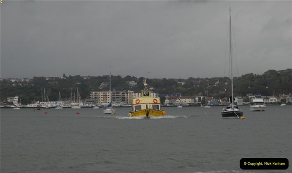 2012-10-18 Visit to Brownsea Island, Poole Harbour, Dorset.  (98)098