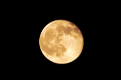 2014-05-15 The Moon.  (1)236