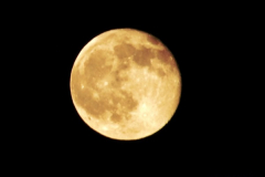 2014-05-15 The Moon.  (3)238