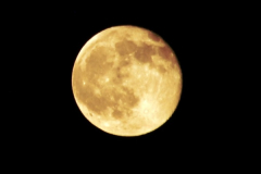 2014-05-15 The Moon.  (4)239