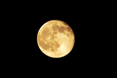 2014-05-15 The Moon.  (5)240