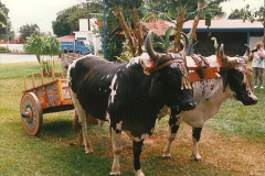 049.1996-Costa-Rica-49