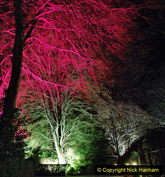 2019-12 20 Kingston Lacy (NT) Wimborne, Dorset Christmas Lights. (101) 101
