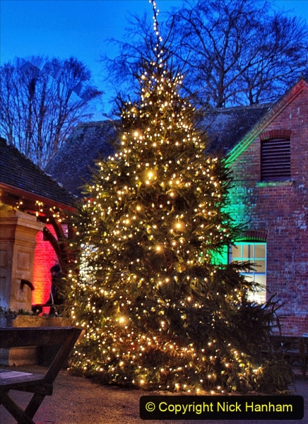 2019-12 20 Kingston Lacy (NT) Wimborne, Dorset Christmas Lights. (12) 012