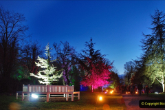 2019-12 20 Kingston Lacy (NT) Wimborne, Dorset Christmas Lights. (27) 027