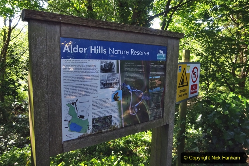 2020-05-31 Covid 19 Walk Alder Hills Nature Reserve Poole, Dorset. (3) 003