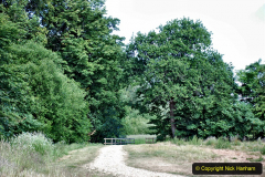 2020-June 08 Covid 19 Walk Canford Park SANG Bearwood, Poole, Dorset. (8) 008