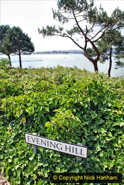 2020-06-09 Covid 19 Walks Constitution Hill & Evening Hill Poole, Dorset. (5) 005