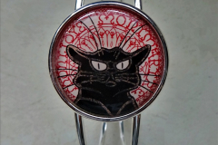 2020-10-15 A Cat Noir Collection. (13)