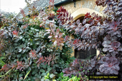 2020-09-30 Covid 19 Visit to Great Chalfield Manor & Gardens, Wiltshire. (117) 117