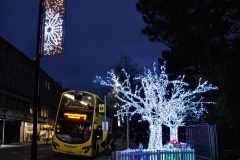 2021-12-20 Bournemouth Christmas Cracker and Lights. (92) 092