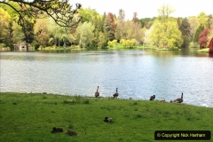 2021-05-17 Wiltshire Holiday Day 1. (120) Stourhead NT. 120