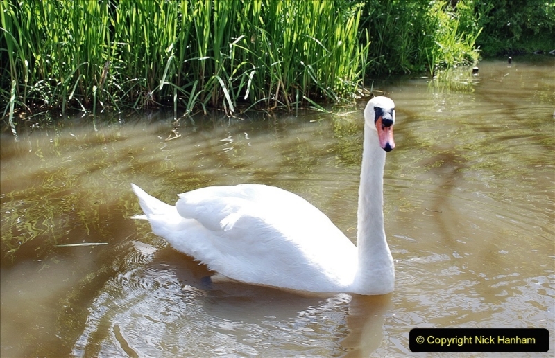 2021-05-19 Wiltshire Holiday Day 3. (50) Kennet & Avon Canal on a Sally Day Boat with friends. 050