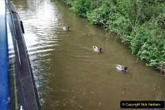 2021-05-19 Wiltshire Holiday Day 3. (29) Kennet & Avon Canal on a Sally Day Boat with friends. 029