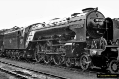 A2 Class No 60529 PEARL DIVER at Doncaster shed  following heavy overhaul at Doncaster Works  19/05/1957
