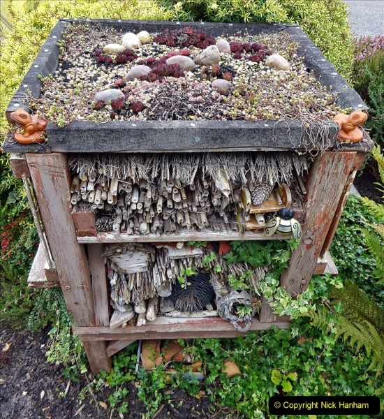2021-11-11 Remembrance Day in a Poole garden at Autumn. (9) The Bug Hotel. 009