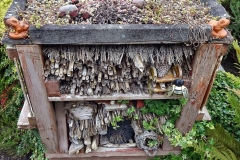 2021-11-11 Remembrance Day in a Poole garden at Autumn. (9) The Bug Hotel. 009