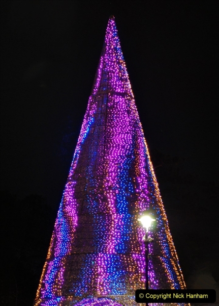 2021-11-20 Bournemouth Christmas Lights. (24) The Tree of Many Colours. 024