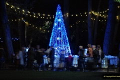 2021-11-20 Bournemouth Christmas Lights. (54) 054