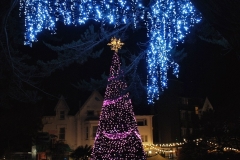 2021-11-20 Bournemouth Christmas Lights. (85) 085