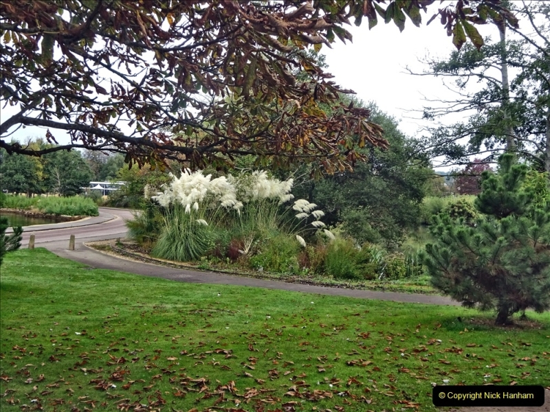 2021-10-17 Autumn walk around Poole Park and area. (12) 012