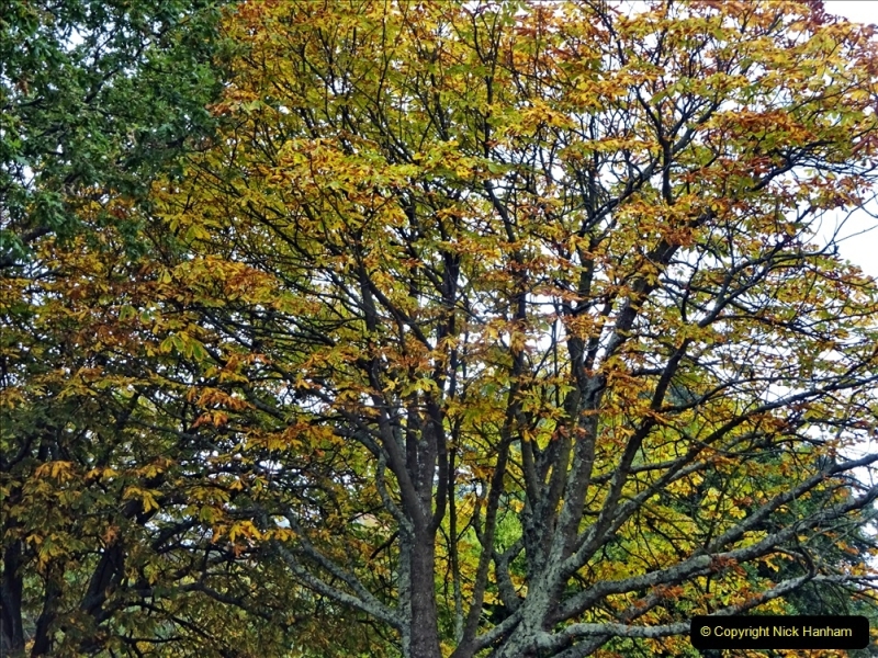 2021-10-17 Autumn walk around Poole Park and area. (44) 044