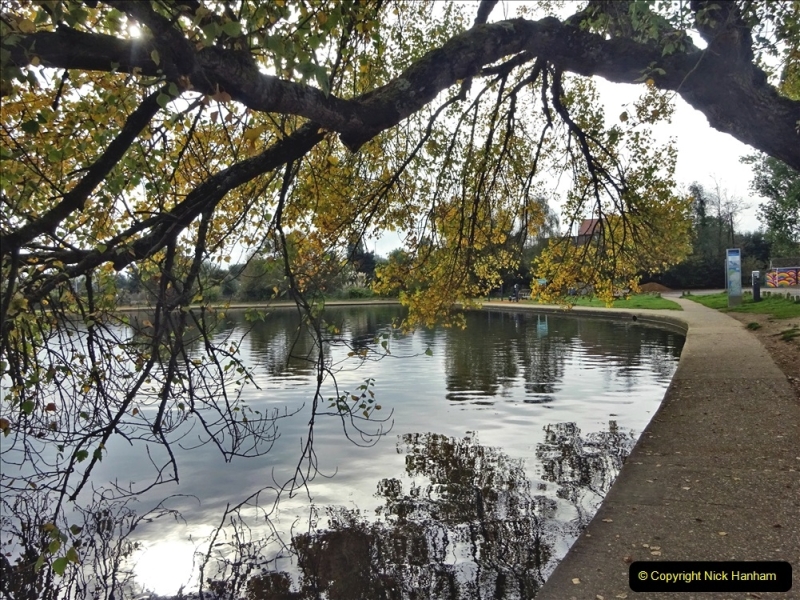 2021-10-17 Autumn walk around Poole Park and area. (75) 075