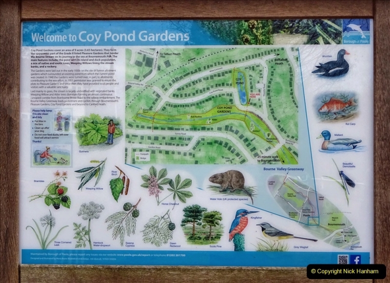 2022-03-10 Coypond and Bournemouth Upper Gardens. (1) Coy Pond. 001