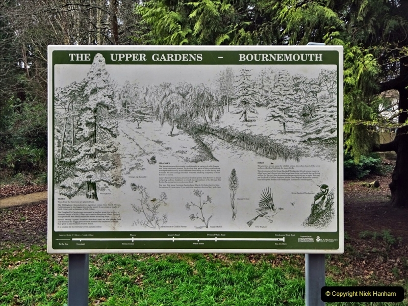 2022-03-10 Coypond and Bournemouth Upper Gardens. (23) Upper Gardens. 023
