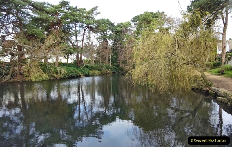 2022-03-10 Coypond and Bournemouth Upper Gardens. (3) Coy Pond. 003