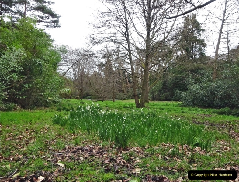 2022-03-10 Coypond and Bournemouth Upper Gardens. (39) Upper Gardens. 039