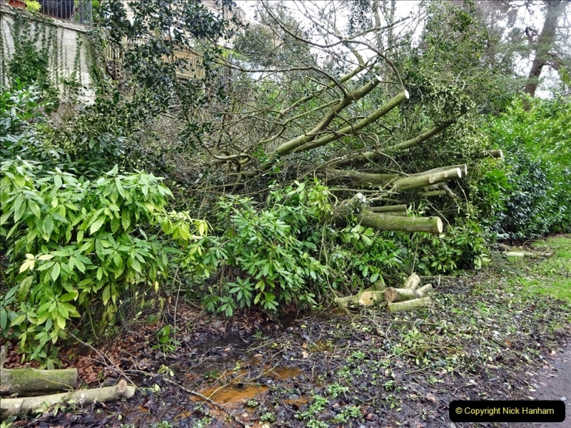 2022-03-10 Coypond and Bournemouth Upper Gardens. (60) Upper Gardens. Storm Damage. 060