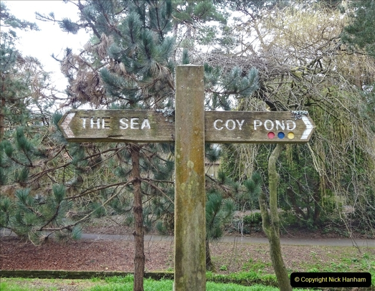 2022-03-10 Coypond and Bournemouth Upper Gardens. (62) Upper Gardens. 062