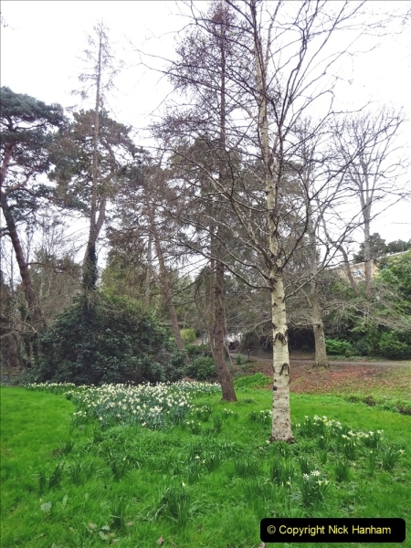 2022-03-10 Coypond and Bournemouth Upper Gardens. (73) Upper Gardens. 073