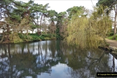 2022-03-10 Coypond and Bournemouth Upper Gardens. (3) Coy Pond. 003
