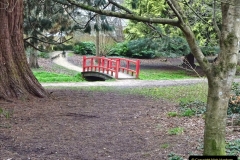 2022-03-10 Coypond and Bournemouth Upper Gardens. (52) Upper Gardens. 052
