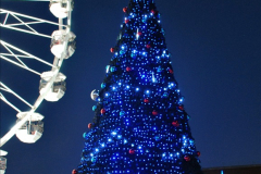 2019-12-09 Bournemouth Christmas Lights. (110) 110