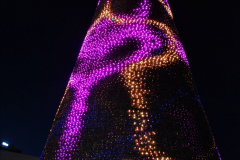 2019-12-09 Bournemouth Christmas Lights. (170) The Tree of Many Colours. 170