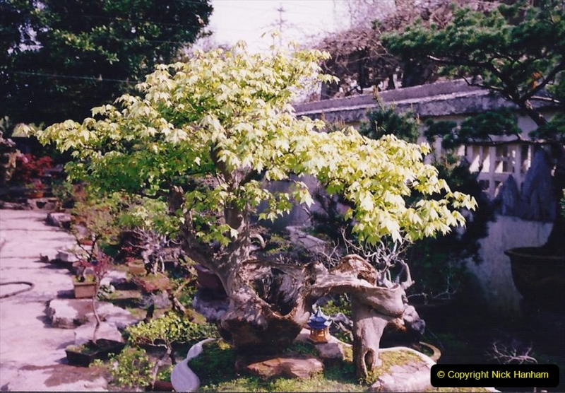 Bonsai Garden in Nanjing.  (3)003