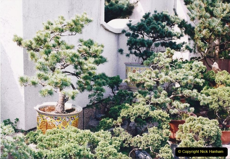 Bonsai Garden in Nanjing.  (4)004