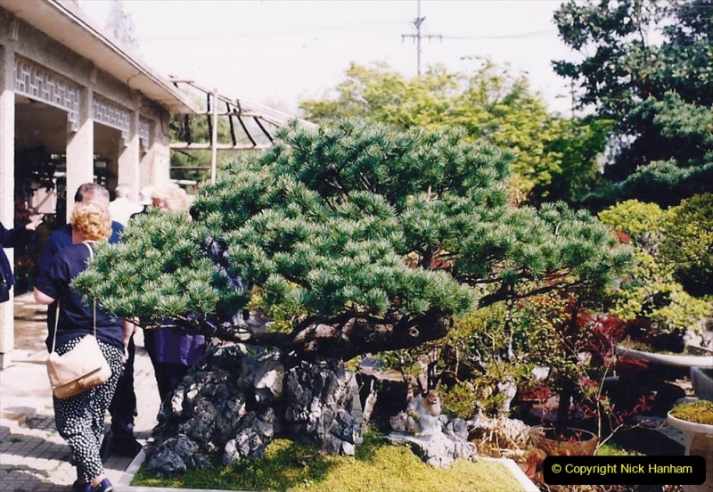 Bonsai Garden in Nanjing.  (5)005