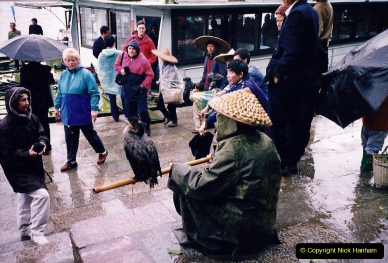 China 1993 April. (108) Yangshuo fisherman with fisinng cormorants.108