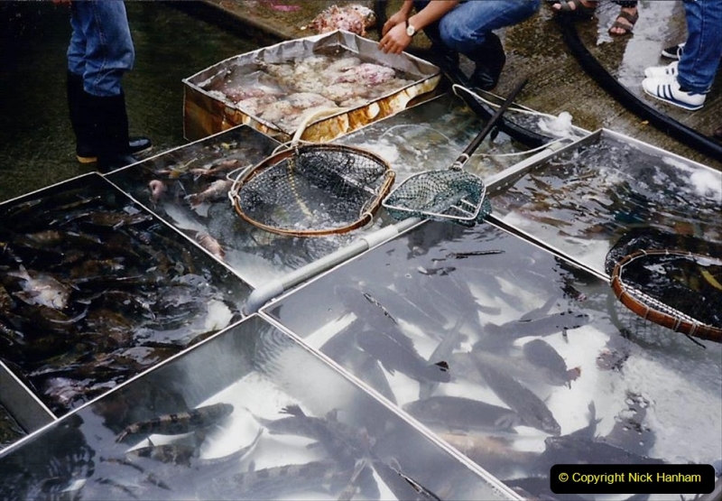 China 1993 April China into Hong Kong. (170) Live fish resturant. 170