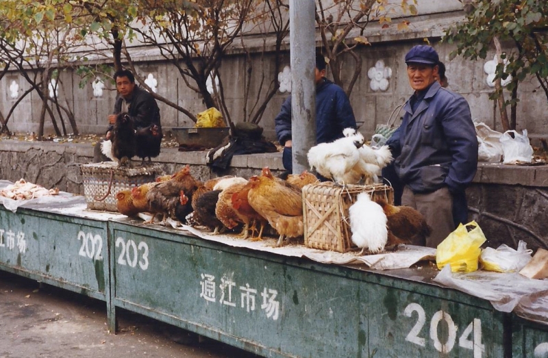 China 1999 October Number 1. (29) Harbin local market.