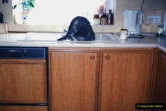 1997 Jenny. (134) Having a drink in the sink.135